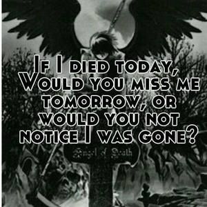 Meet your Posher, Sonya